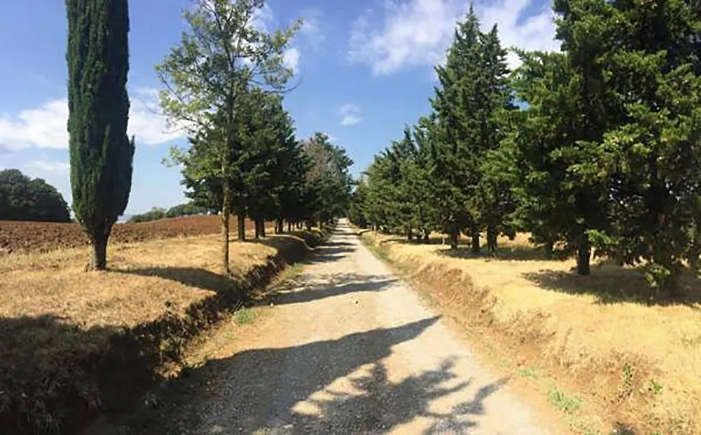 Agriturismo Ipoderi Chianciano Terme Farm stay